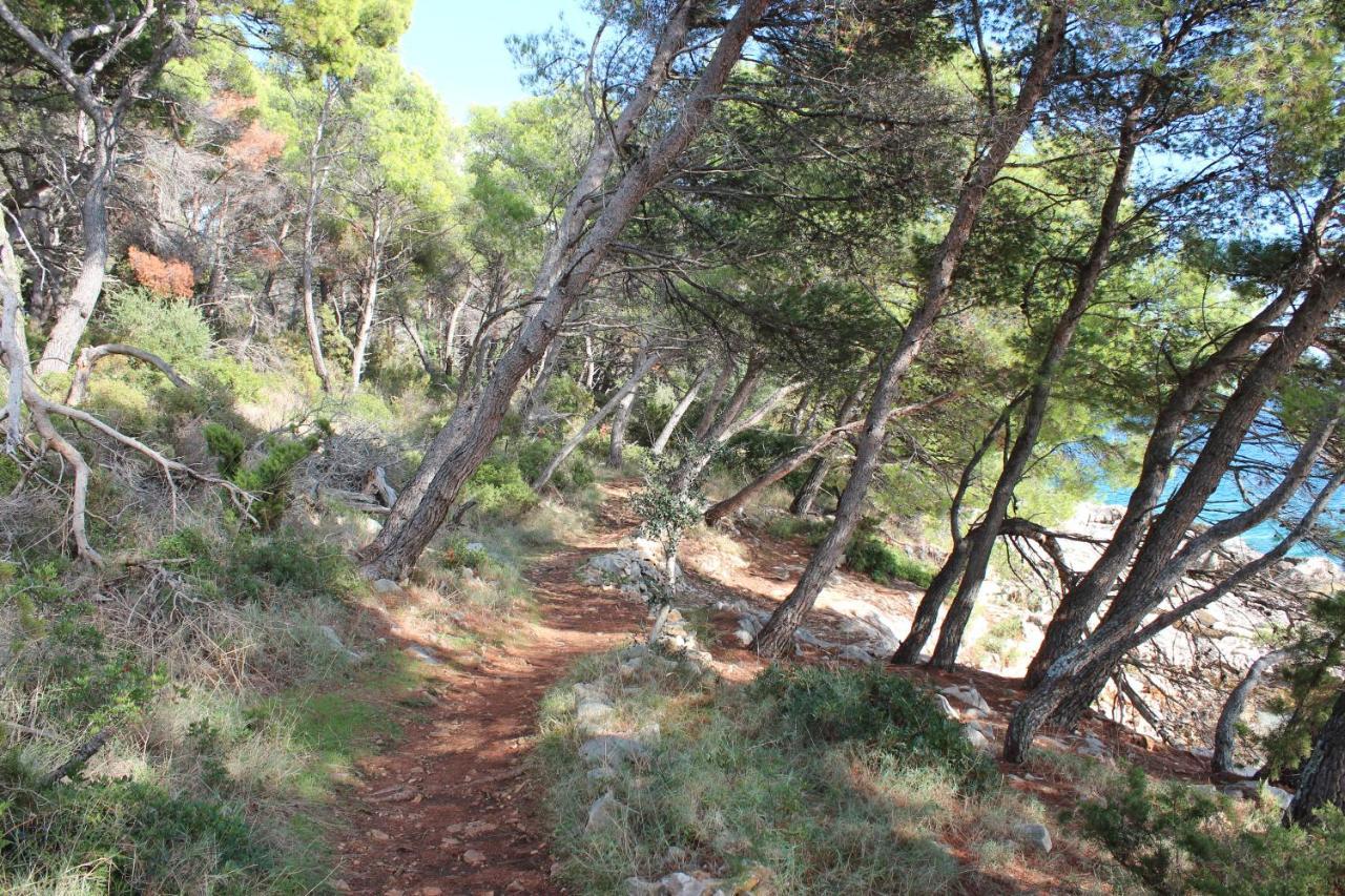 Bayview Daire Trogir Dış mekan fotoğraf